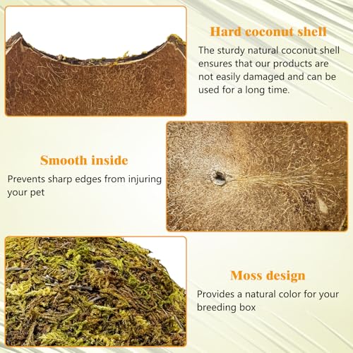4 Pack Natural Green Moss Hermit Crab Hide Caves Coconut Reptile Hideouts (Moss Surface / 4 PCS)