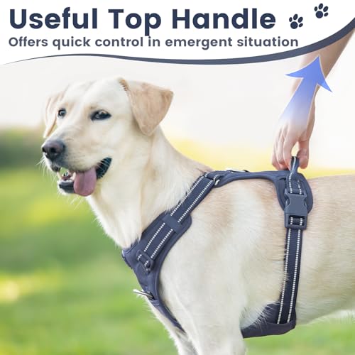 No Pull Dog Harness Front Clip Handle (Prussian Blue / XS(Neck:11.8-16.5",Chest:14.2-19.7"))