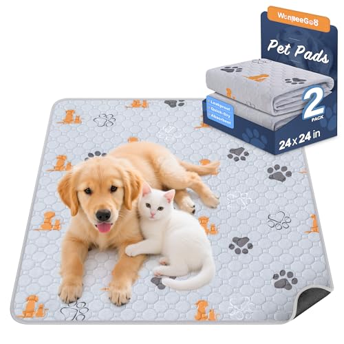 Washable Pee Pads for Dogs (Orange / 24"x24" (Pack of 2))