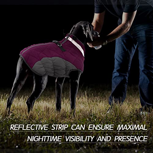 Dog Coat for Small Dogs (Rose Red / S(chest:17in))