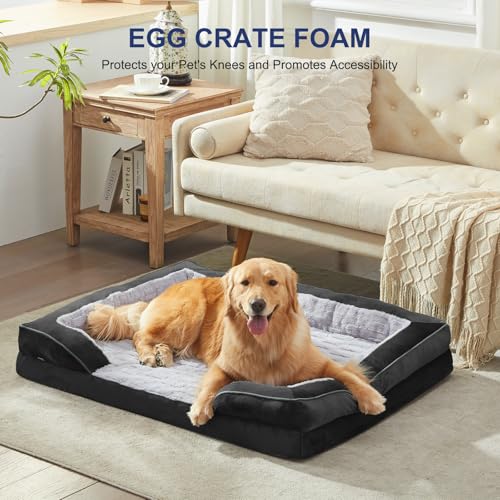 Orthopedic Medium Dog Bed (35.0''l x 25.0''w x 6.5''th / Black)