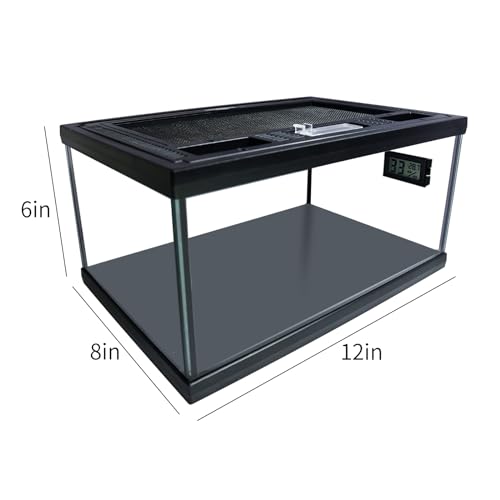 Reptile Glass Terrarium Tank 12"*8"*6" (12*8*6inch)
