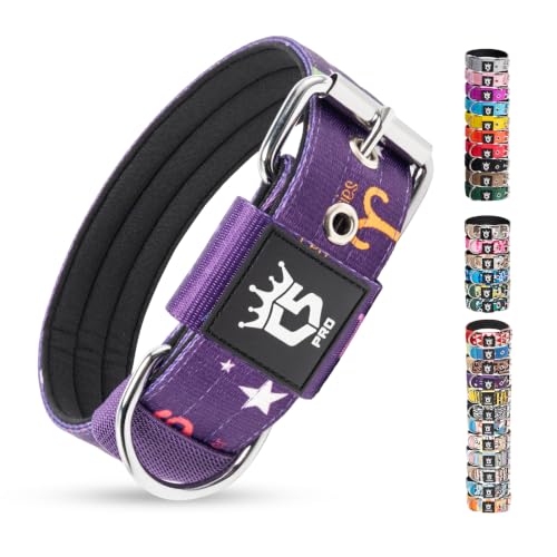 Heavy Duty Thick Dog Collar with Metal Buckle for Medium Dogs (M – Fits Neck 15.8"-18.9" / Constellation Purple)