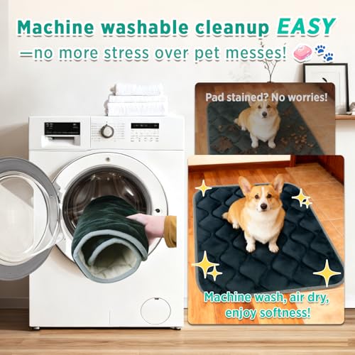 Dog Bed Mat Crate Pad (24.0"L x 18.0"W x 0.7"Th" / Grey Mat)