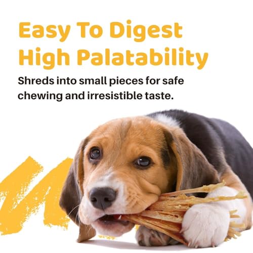 Turkey Tendon for Dogs Value Pack