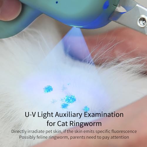 Cat Nail Clipper with LED Light (Suitable for Cats＆Dogs / Blue)