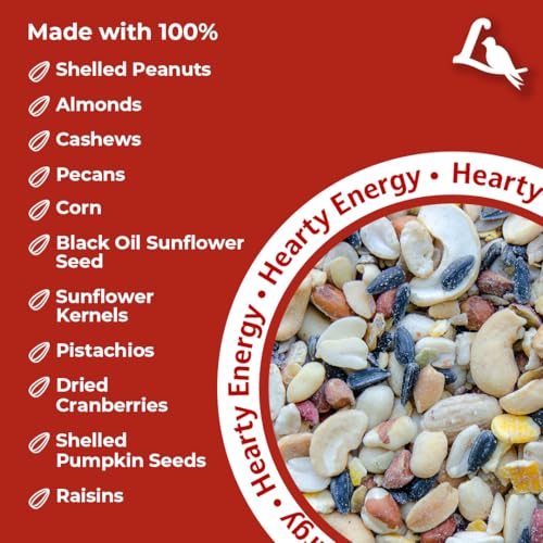 Fruit and Nut Wild Bird Seed Mix (1 Count (Pack of 2))