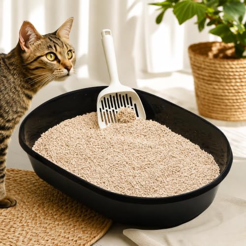 I AM TOFU Tofu Cat Litter (Original / 10 LBS)
