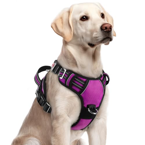 Dog Harness for Large (Purple / Large)