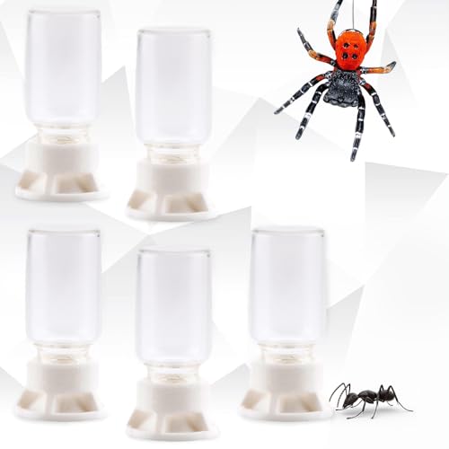 5 Pcs Jumping Spider Ant Water Feeder Bee Plastic Water Feeding Tarantula Water Bowl Spider Feeder