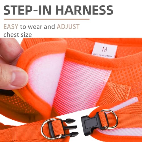 Dog Harness Collar and Leash Set No Pull for Small Medium Sized (Solid Orange / M (CHEST 16"-18"))