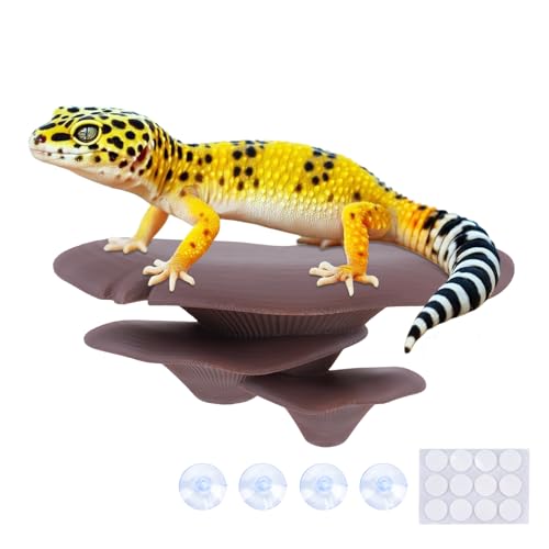 Mushroom Decor for Reptile Tank (Trio Cap / Cocoa)