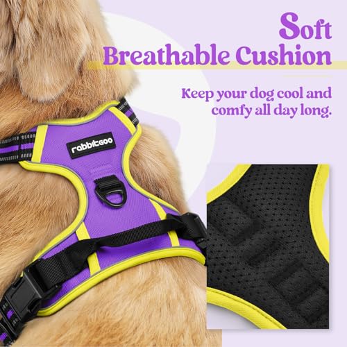 Dog Harness No Pull Medium Sized with 2 Leash Clips