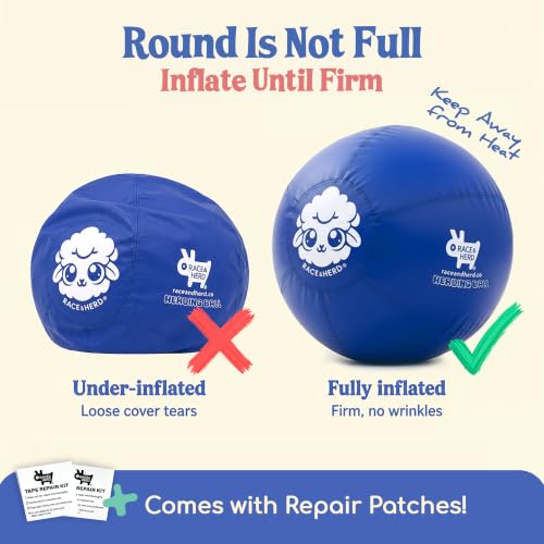 25" Original Herding Ball for Dogs (Ocean - L 25" Herding Ball Set / L 25")