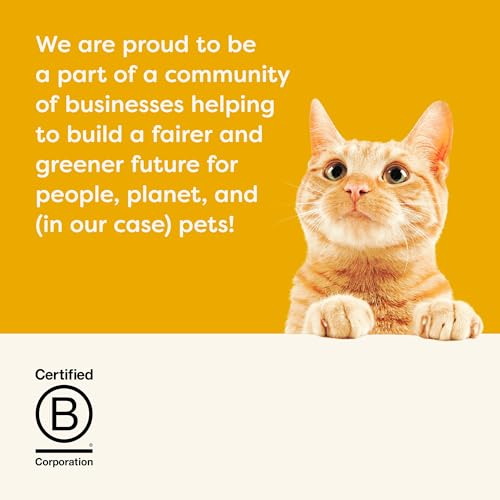 Chicken Breast in Broth Wet Cat Food 24 (2.47 Ounce (Pack of 24))