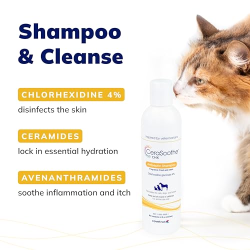 CeraSoothe CHX Antiseptic Shampoo with Chlorhexidine