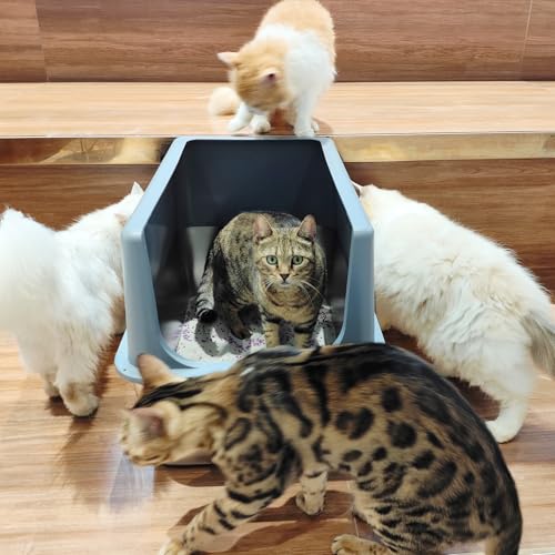 Stainless Steel Cat Litter Box with Lid (16" High / Grey)