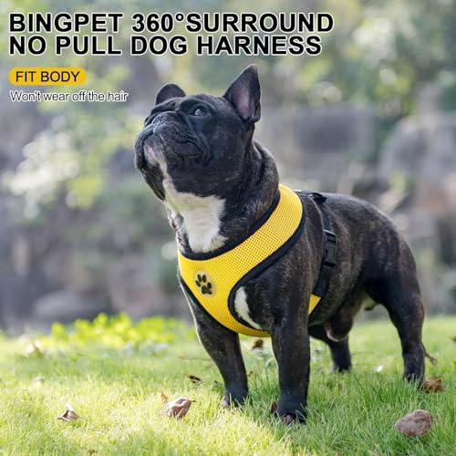 Small Dog Harness (XL (NECK: 20.5", CHEST: 20.5"-27") / Yellow)