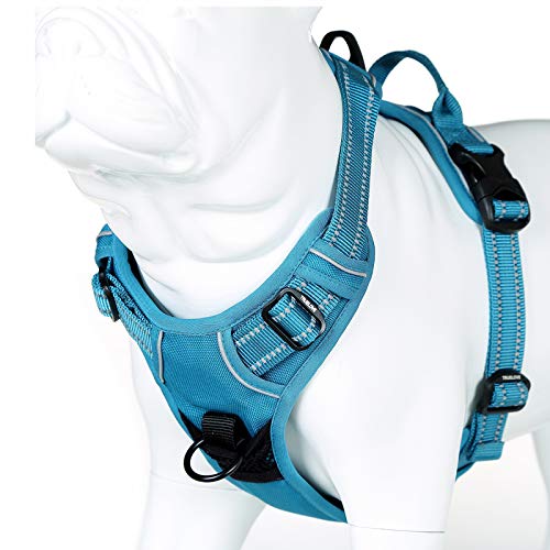 Truelove No Pull Dog Harness with Easy Control Handle and 2 Leash Attachments (X-Large / Teal Blue)