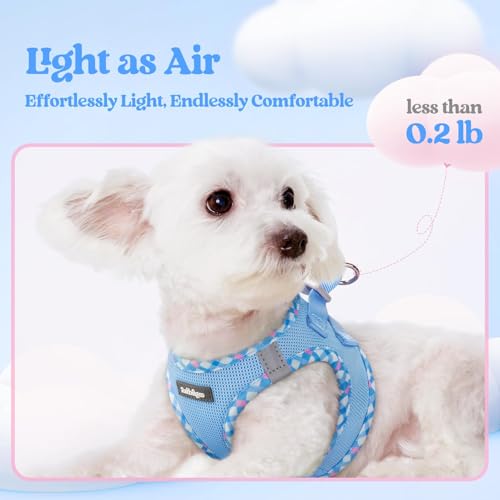 Dog Harness Small Sized and Leash Set (Blue & Plaid Trim / Xxs (chest: 12.4 - 14.2"))
