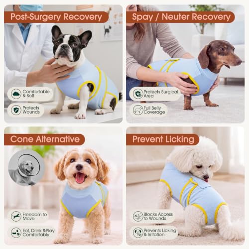 Recovery Suit for Dogs Cats (X-small (Back:8.3-11.4'', Weight:4-7 Lb) / Sky Zest)