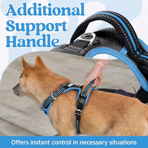 Dog Harness Small Sized (Black & Blue / Small)