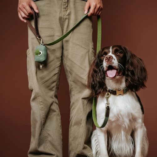 PU Leather Dog Collar for Large Dogs (Green / L: Neck 16-23", Width 1")