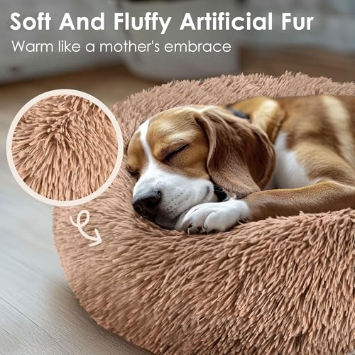 Dog & Cat Bed for Indoor Cats (Camel / 20.0"L x 20.0"W x 8.0"Th)