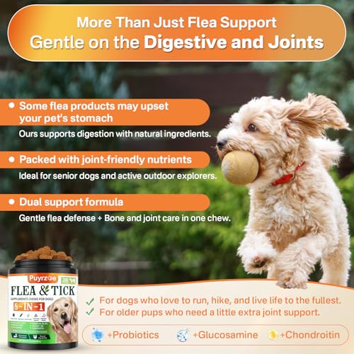 Flea and Tick Prevention for Dogs