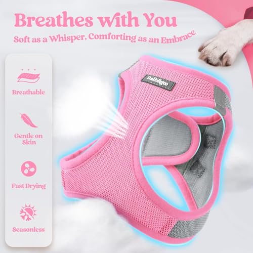 Dog Harness Small Sized and Leash Set (Light Pink & Gray / Xxs (chest: 12.4 - 14.2"))