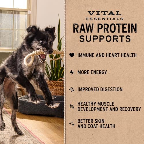 Freeze Dried Dog Food (14 Ounce (Pack of 1))