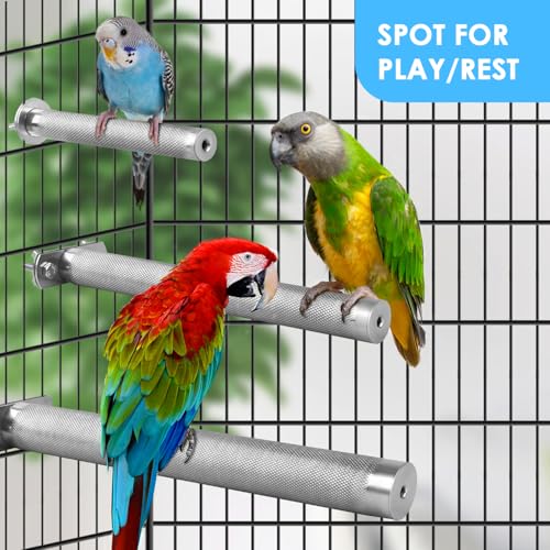 Conure Perch Stainless Steel Bird Stand Rough (S: 6 x 0.7 inch)