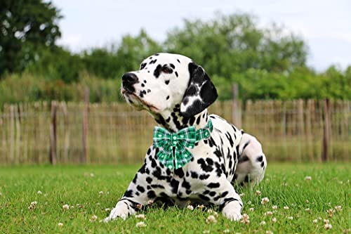 St Patricks Day Dog Collar with Bowtie (St.Patrick's Day(Sailor Bow) / X-Large (Pack of 1))