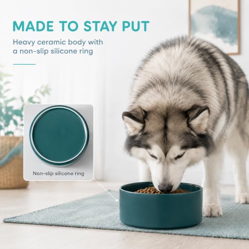 Ceramic Dog Bowls (Matte Dark Green)