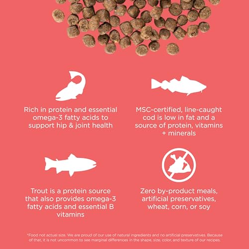 Carnivore Salmon + Cod Grain (8 Pound (Pack of 1))