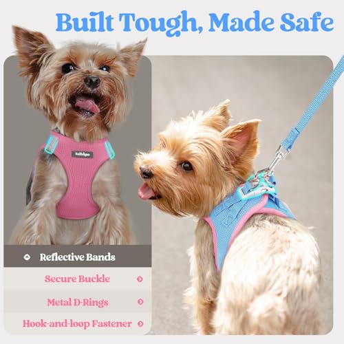 Dog Harness Small Sized and Leash Set (Blue & Light Pink / Xs (chest: 13.3 - 15.5"))