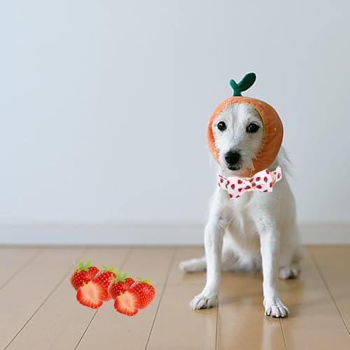 Summer Dog Collar (Strawberry / Medium (Pack of 1))