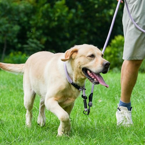 Rope Dog Leash with Two Handles (Purple / 6FT*0.51" Two Handle)