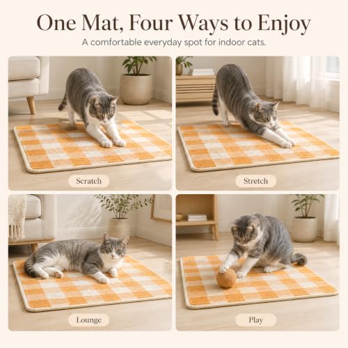 Cat Scratcher Mat (Orange White)