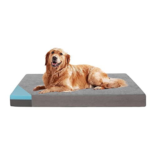Orthopedic Memory Foam Dog Bed (Short Plush / X-Large-41"x 29" x 4")