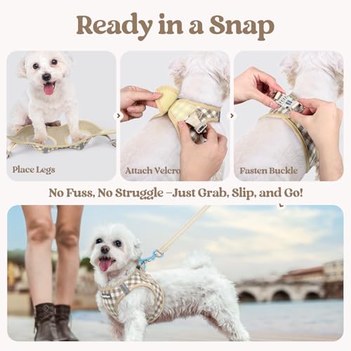 Dog Harness Small Sized and Leash Set (Beige Check / Xs (chest: 13.3 - 15.5"))