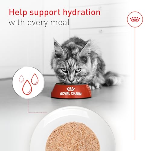 Feline Health Nutrition Aging 11+ Wet Cat Food (5.1 Ounce (Pack of 24) / Aging 11+)