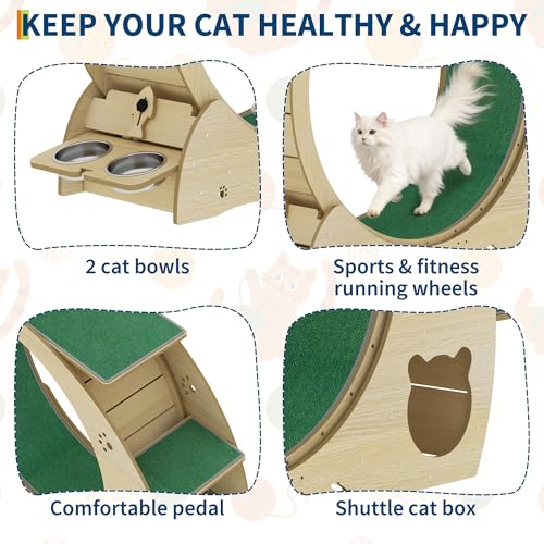 55" Multi Cat Exercise Wheel with 3