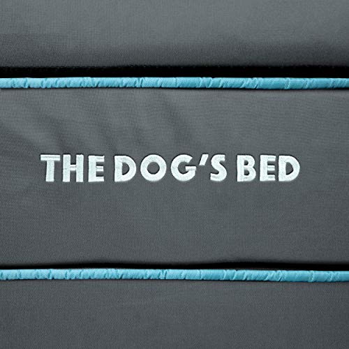 The Dog’s Bed Orthopedic Memory Foam Dog Bed with Headrest Large 6 (Grey with Blue Trim / L (40"L x 25"W x 6"Th))