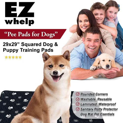 Reusable Dog Pee Pads (29x29 Inch)