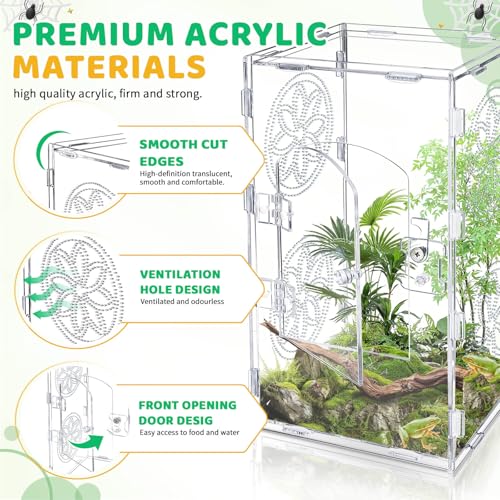 Large Jumping Spider Enclosure (transparent / 11.8*6)