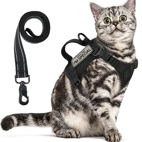 Tactical Cat Harness for Walking Escape Proof (Medium / Black)