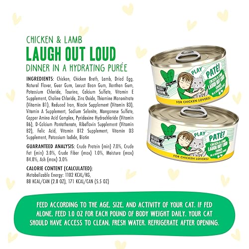 B.F.F. Play Best Feline Friend Paté Lovers (5.5 Ounce (Pack of 8))