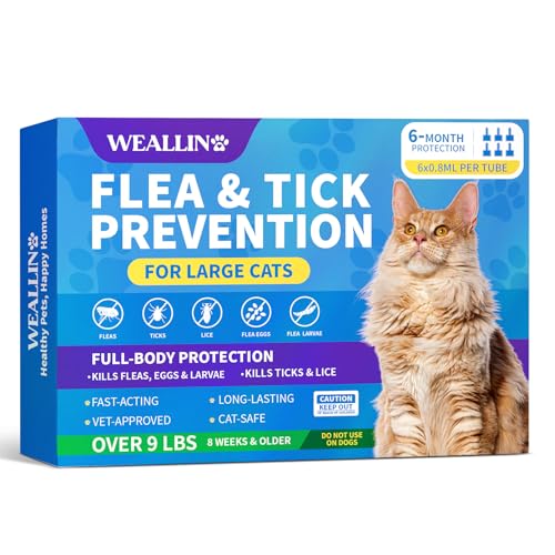 Flea and Tick Prevention for Large Cat