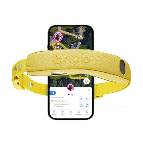 Collar 5 Wireless Dog Fence System (Sunburst / One Size)